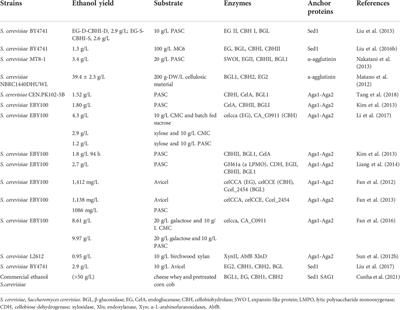 Saccharomyces cerevisiae cell surface display technology: Strategies for improvement and applications